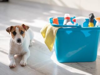 Profitable work-from-home household cleaning business  in Hartbeespoort