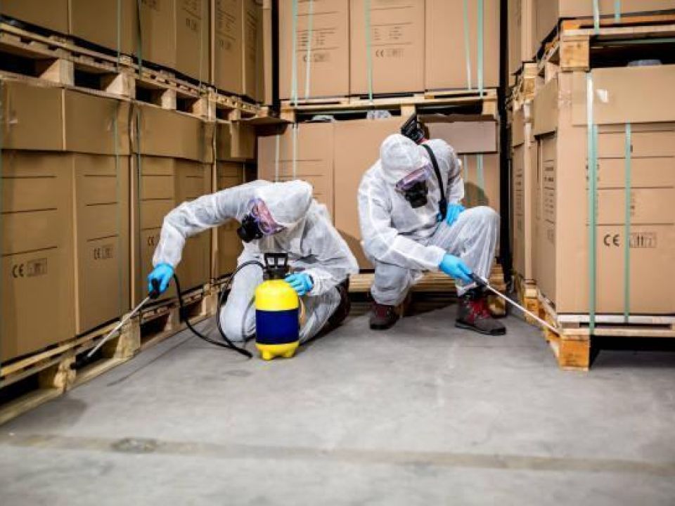 Pest Control Business ( revised price ) Polokwane and rural areas in Limpopo Province  