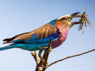 Holiday Resort and Game Reserve  in the North West