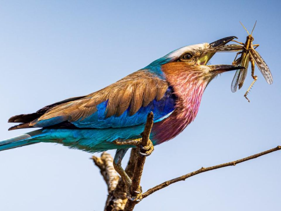 Holiday Resort and Game Reserve  in the North West