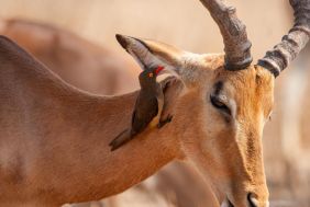 36324_38977_AdobeStock_494383527.jpeg