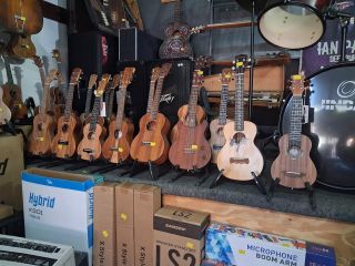 Music store stocking new and second hand instruments.
