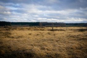 Lanseria Prime Vacant Land