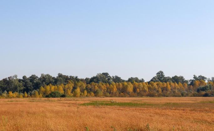 Lanseria Prime Vacant Land