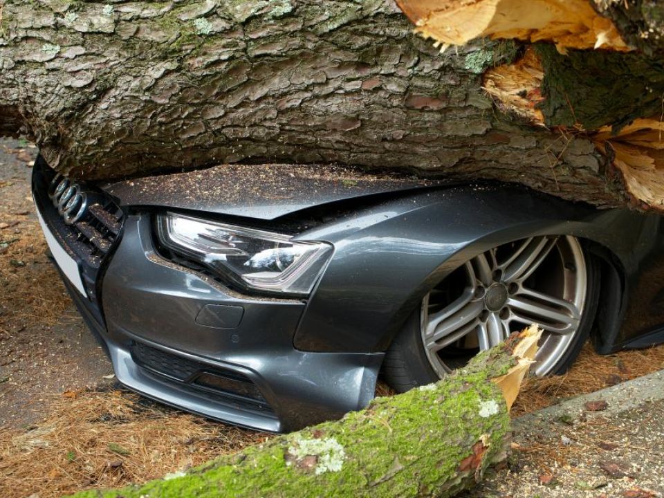 Profitable Franchise Panel Beating Business – Established with Steady Revenue and Growth Potential