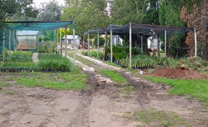 Profitable nursery in the west of Jhb supplying to wholesale clients