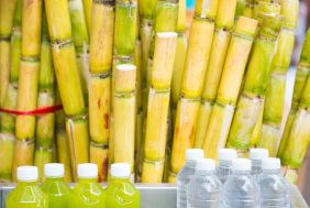 Bottle manufacturer - biodegradable products made from materials like Bio-PET, PH