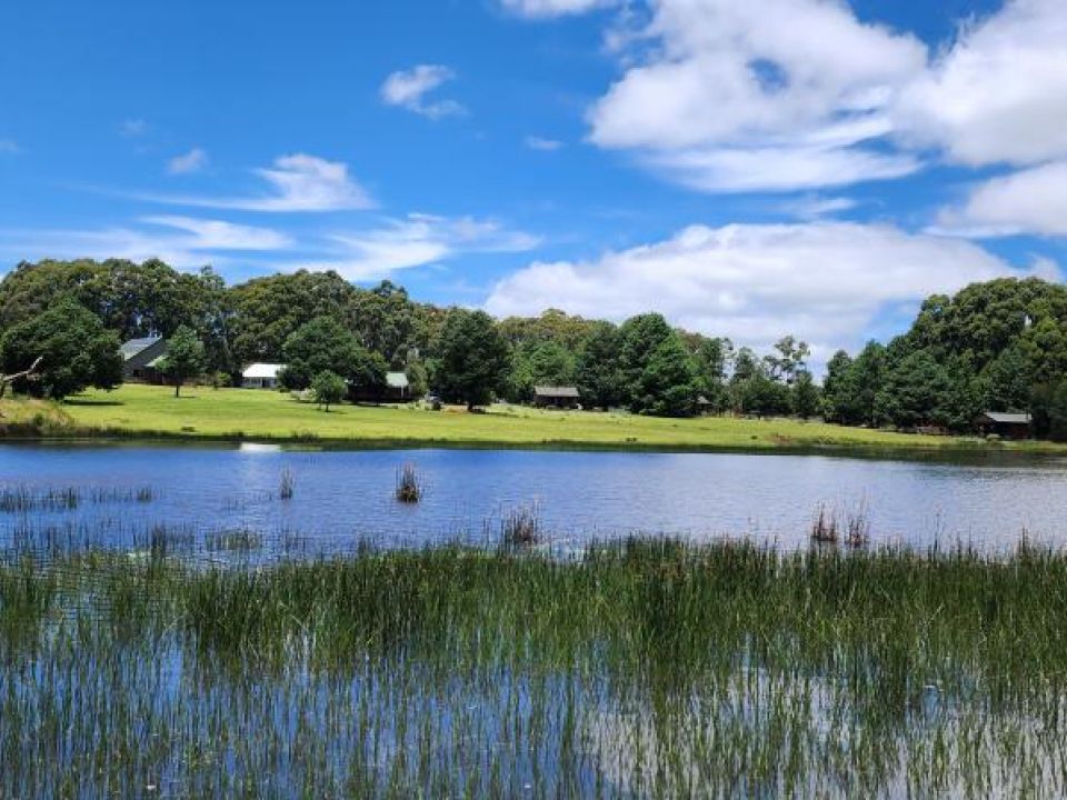 Exquisite Pet-Friendly Lodge with 9 Rustic Chalets and Stunning Main House - 183 Hectare Property