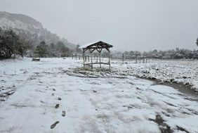 Guesthouse Opportunity - unique environment - Lifestyle Opportunity