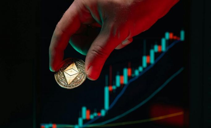 Join a High-Growth Master License Business as an Equity Investor