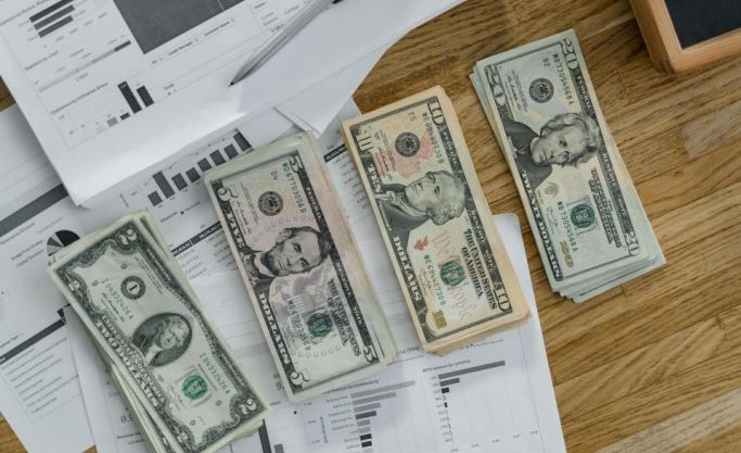Join a High-Growth Master License Business as an Equity Investor