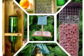 Established Bird feeding Business Seeking New Owner- side hustle
