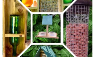 Established Bird feeding Business Seeking New Owner- side hustle