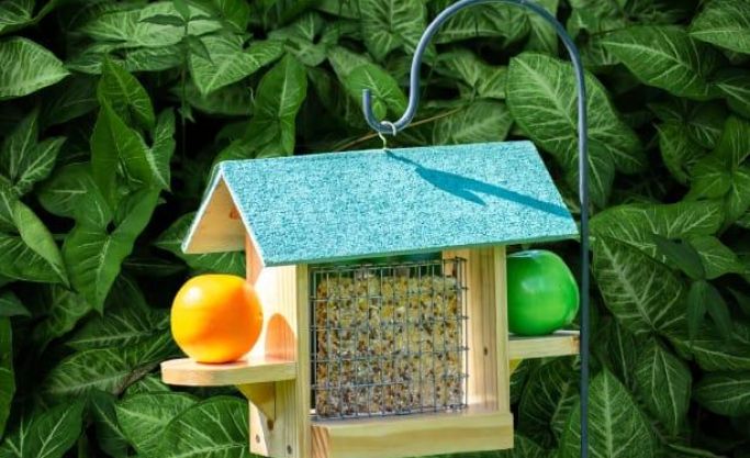 Established Bird feeding Business Seeking New Owner- side hustle