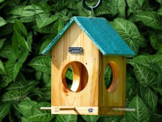 Thriving Bird Feed Business - Side hustle