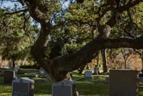 A four franchise business - KZN North Coast