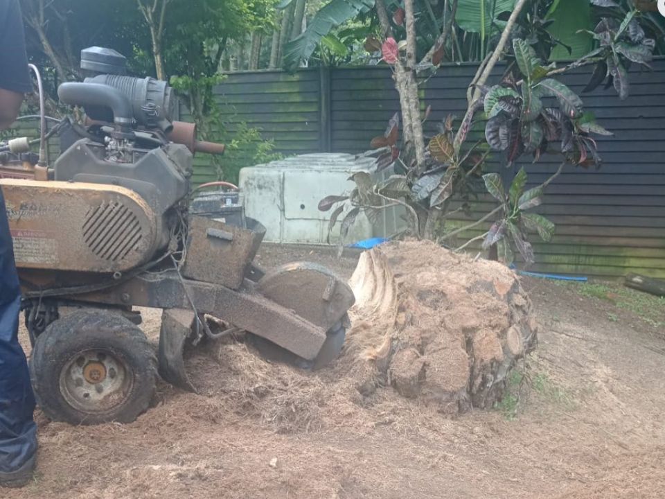 Turn-key, country-wide stump grinding and stump removal opportunity