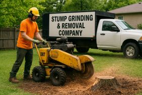 Agency opportunity country-wide in stump grinding and removal