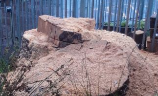 Agency opportunity country-wide in stump grinding and removal