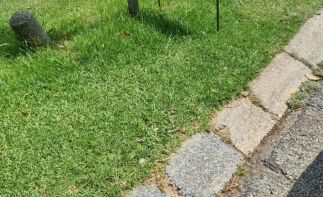 Manufacturing buisness that makes Corrosion-Free, Eco-Friendly Poles for Every Project