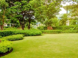 Garden Service Outer-West Durban