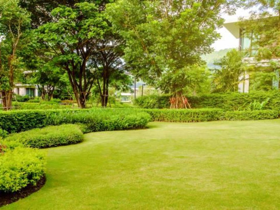 Garden Service Outer-West Durban