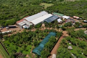 “Unique Game Farm Property &amp; Huge Warehouse