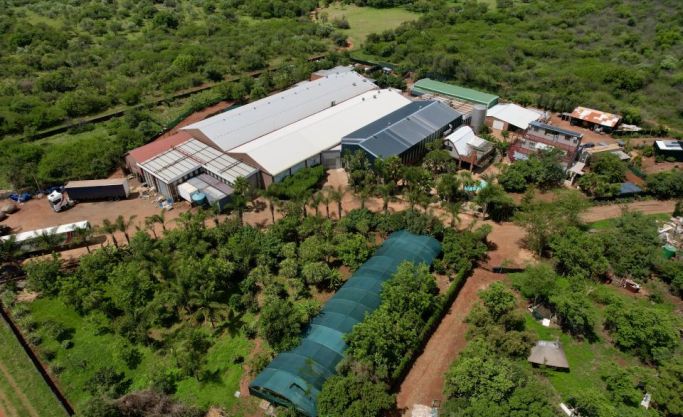 “Unique Game Farm Property & Huge Warehouse