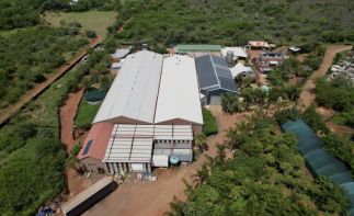 “Unique Game Farm Property & Huge Warehouse