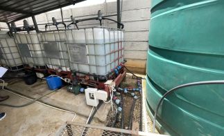 MacFresh Deli, Bakery & Berry Farm Assets – Closure Tender (Buy Now Option)