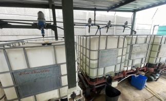 MacFresh Deli, Bakery & Berry Farm Assets – Closure Tender (Buy Now Option)