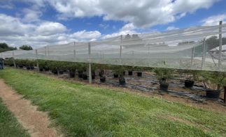 MacFresh Deli, Bakery & Berry Farm Assets – Closure Tender (Buy Now Option)