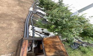 MacFresh Deli, Bakery & Berry Farm Assets – Closure Tender (Buy Now Option)