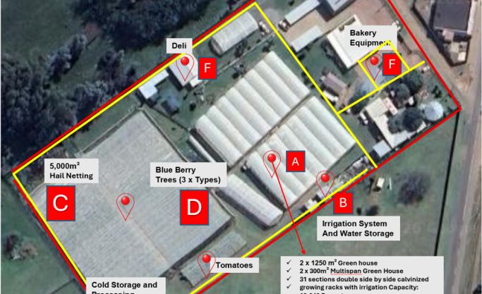 MacFresh Deli, Bakery & Berry Farm Assets – Closure Tender (Buy Now Option)
