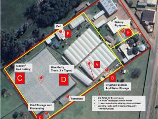 MacFresh Closure Sale – Deli, Bakery & Berry Farm Assets | Tender + Buy Now Option