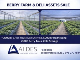 MacFresh Closure Sale – Deli, Bakery & Berry Farm Assets | Tender + Buy Now Option