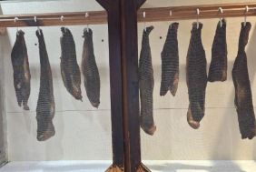 Cash-Generating Biltong Shop Opportunity