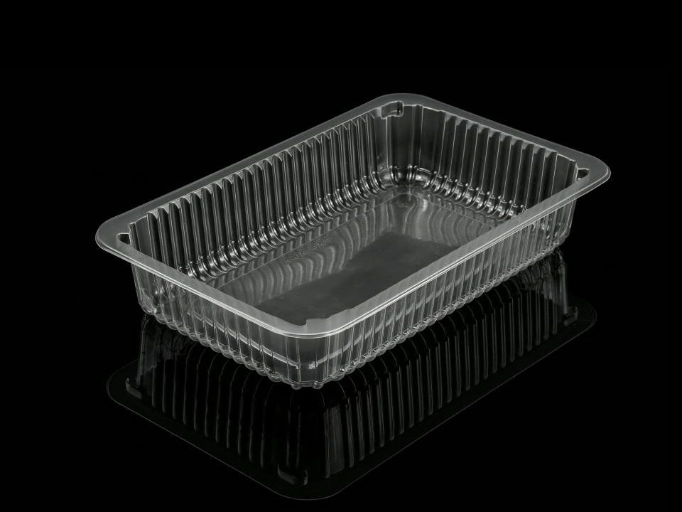 KwaZulu-Natal Vacuum‑Forming Manufacturer — Turnkey Facility with Ready Capacity