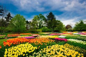 Garden &amp; Landscaping Service to High Net Worth Families. Easy to Run. Minimal Owner Input.