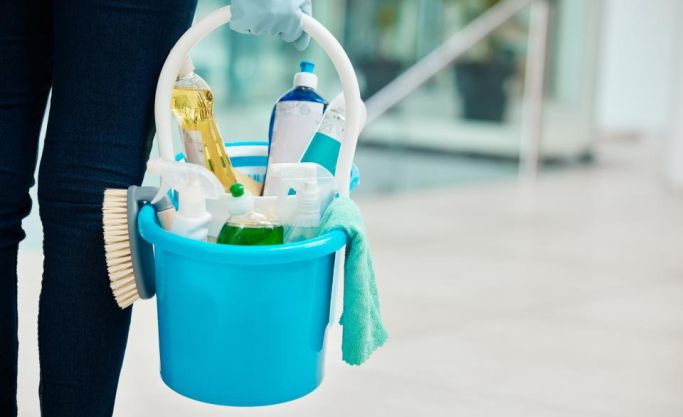 Proven Franchise Network: Low Costs & Maximum Support