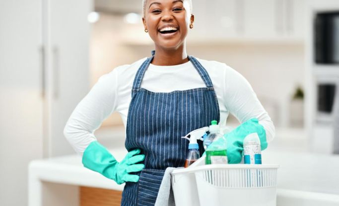 Proven Franchise Network: Low Costs & Maximum Support