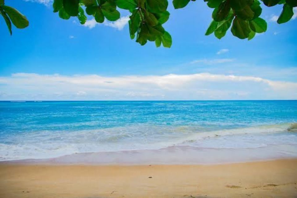 Garden Route on-line travel agency offering accommodation, special activities, car rentals etc.