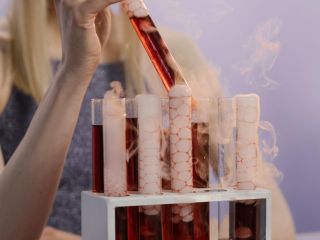 Science shows to mainly children at schools / parties