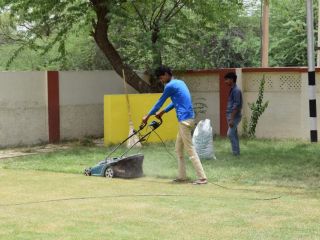 Garden Services in George area. Over 200 gardens, established 4 years