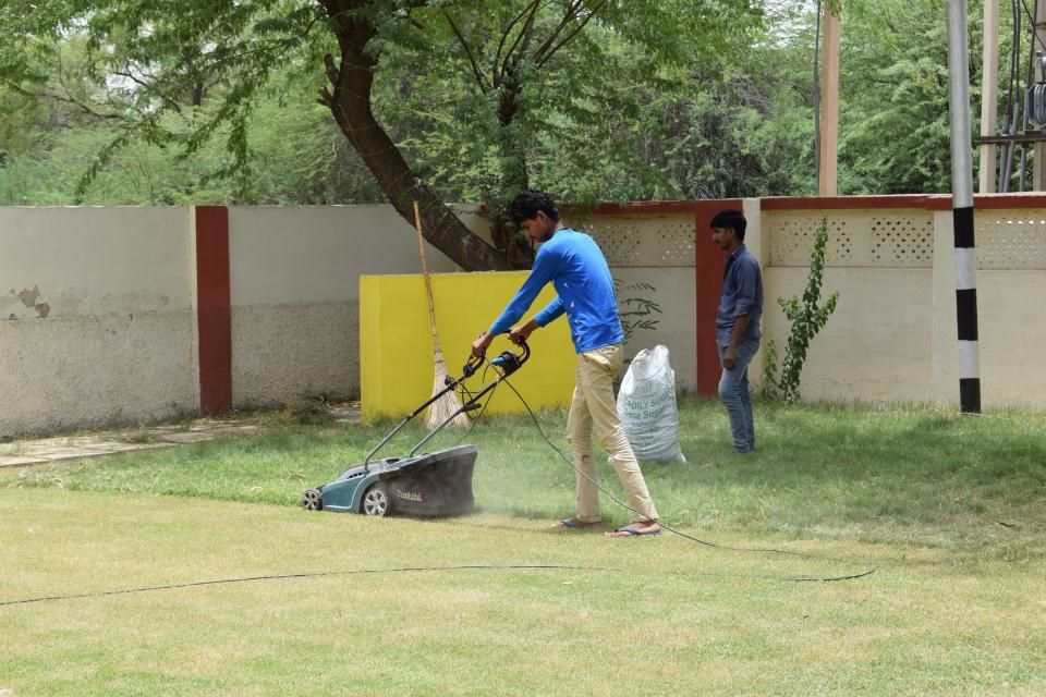 Garden Services in George area. Over 200 gardens, established 4 years