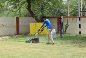 George based garden services business, over 200 gardens, 4 years in trading.
